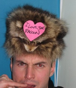 raccoon